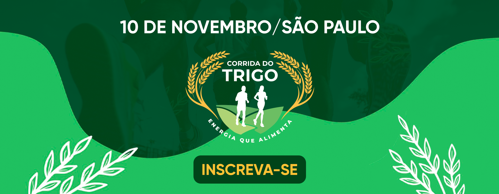 Corrida do Trigo